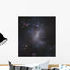 Starburst Galaxy Ngc 1313 Wall Decal