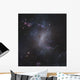 Starburst Galaxy Ngc 1313 Wall Decal