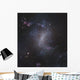 Starburst Galaxy Ngc 1313 Wall Decal