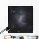 Starburst Galaxy Ngc 1313 Wall Decal