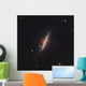 Messier 82 Starburst Galaxy Wall Decal
