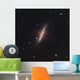 Messier 82 Starburst Galaxy Wall Decal