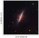 Messier 82 Starburst Galaxy Wall Decal