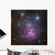Trifid Nebula Located Sagittarius Wall Decal