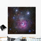 Trifid Nebula Located Sagittarius Wall Decal