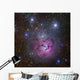 Trifid Nebula Located Sagittarius Wall Decal
