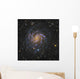 Ngc 6946 Also Known Wall Decal