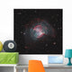 Dumbbell Nebula Wall Decal