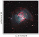 Dumbbell Nebula Wall Decal