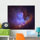 Emission Nebula Ngc 281 Wall Decal