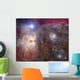 Horsehead Nebula Region Infrared Wall Decal