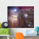 Horsehead Nebula Region Infrared Wall Decal