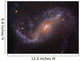 Barred Spiral Galaxy Ngc Wall Decal