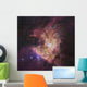 Center Orion Nebula Known Wall Decal