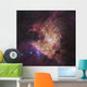 Center Orion Nebula Known Wall Decal