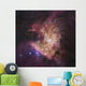 Center Orion Nebula Known Wall Decal