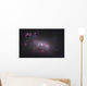 Ngc 4449 Irregular Galaxy Wall Decal