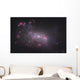 Ngc 4449 Irregular Galaxy Wall Decal
