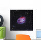 Crab Nebula Wall Decal