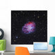 Crab Nebula Wall Decal