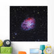 Crab Nebula Wall Decal