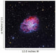 Crab Nebula Wall Decal