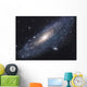Andromeda Galaxy Wall Decal Design 1