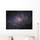 Messier 33 Spiral Galaxy Wall Decal