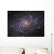 Messier 33 Spiral Galaxy Wall Decal