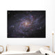 Messier 33 Spiral Galaxy Wall Decal