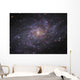 Messier 33 Spiral Galaxy Wall Decal