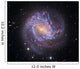 Messier 83 Southern Pinwheel Wall Decal