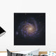 Ngc 1232 Spiral Galaxy Wall Decal