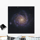 Ngc 1232 Spiral Galaxy Wall Decal
