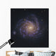 Ngc 1232 Spiral Galaxy Wall Decal