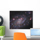 Ngc 2403 Spiral Galaxy Wall Decal Design 3