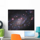 Ngc 2403 Spiral Galaxy Wall Decal Design 3