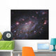 Ngc 2403 Spiral Galaxy Wall Decal Design 3