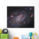 Ngc 2403 Spiral Galaxy Wall Decal Design 3