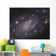 Ngc 2403 Spiral Galaxy Wall Decal Design 3