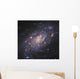 Ngc 2403 Spiral Galaxy Wall Decal Design 2