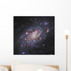Ngc 2403 Spiral Galaxy Wall Decal Design 2