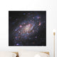 Ngc 2403 Spiral Galaxy Wall Decal Design 2