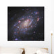 Ngc 2403 Spiral Galaxy Wall Decal Design 2