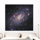 Ngc 2403 Spiral Galaxy Wall Decal Design 2