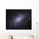 Ngc 2403 Spiral Galaxy Wall Decal Design 1