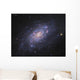 Ngc 2403 Spiral Galaxy Wall Decal Design 1