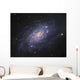 Ngc 2403 Spiral Galaxy Wall Decal Design 1