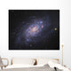 Ngc 2403 Spiral Galaxy Wall Decal Design 1