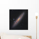 Sculptor Galaxy Ngc 253 Wall Decal